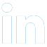 Linked in Icon